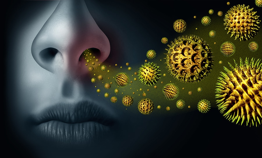 adobestock 287277938