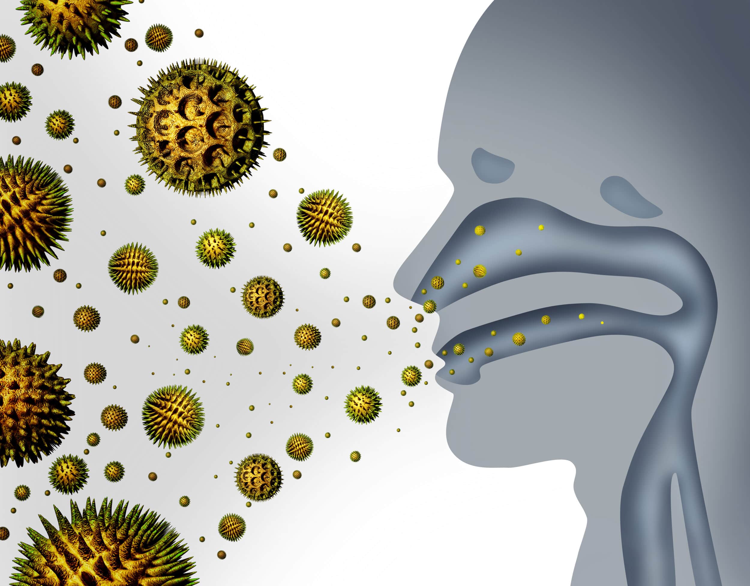 Hay fever and pollen allergies and medical allergy concept as a group of microscopic organic pollination particles flying in the air with a human breathing diagram as a health care symbol of seasonal illness.