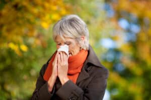 fall sinus allergies